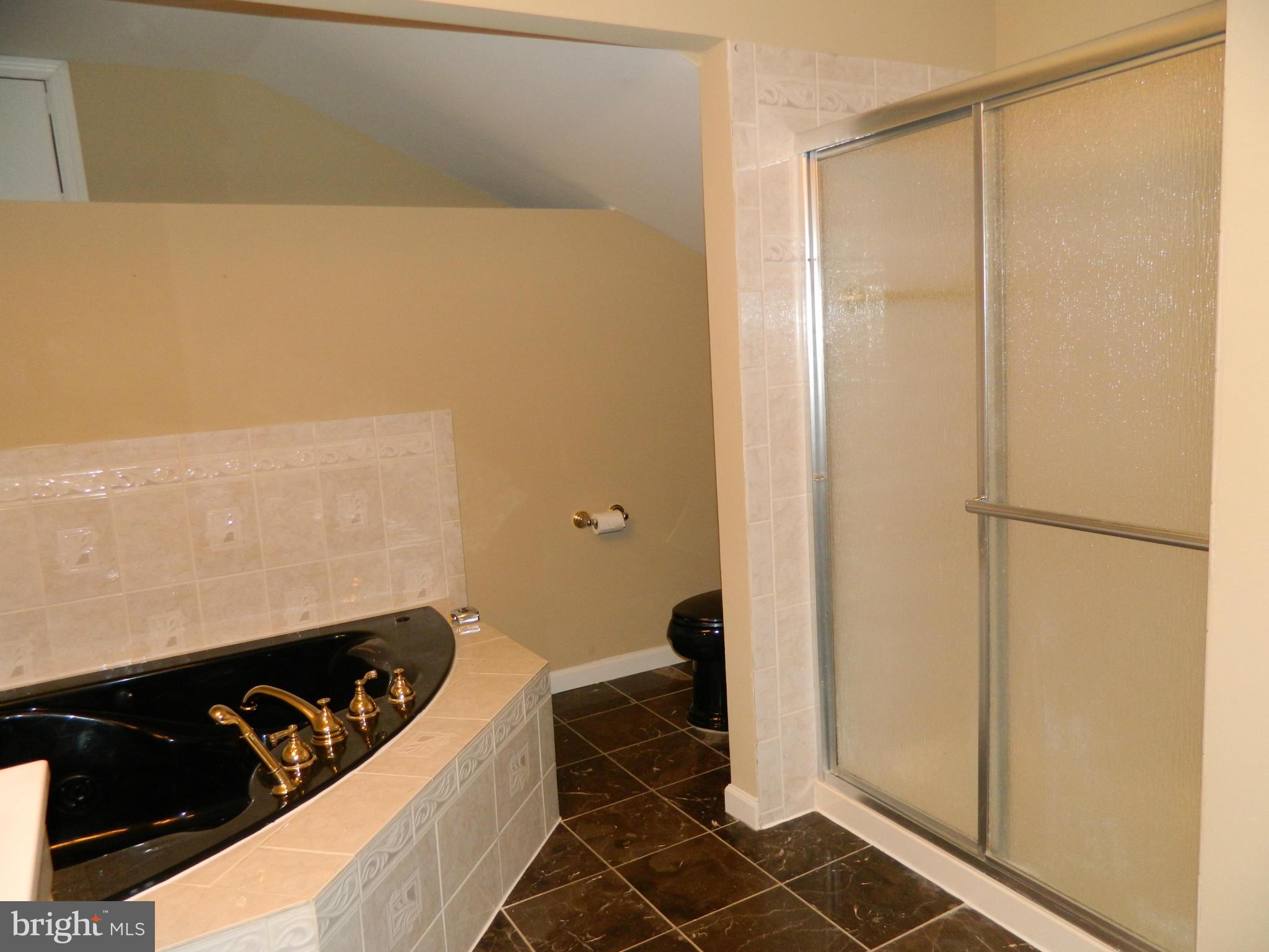 1568 St Margarets Road Annapolis, MD 21409 - Photo 11 of 28 Master Bath with Separate Shower