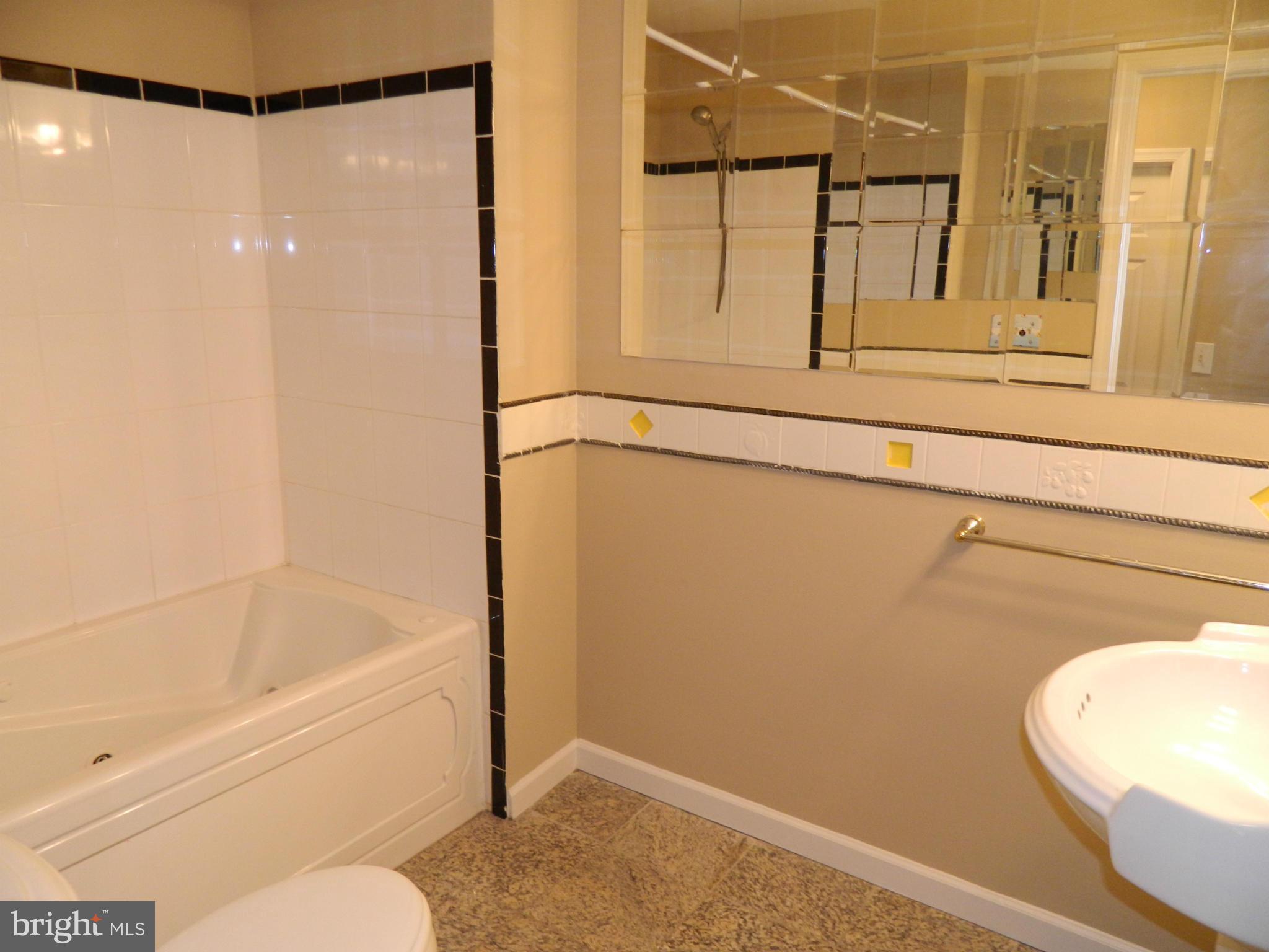 1568 St Margarets Road Annapolis, MD 21409 - Photo 15 of 28 Hall Bath with Jetted Tub and Pedestal Sink