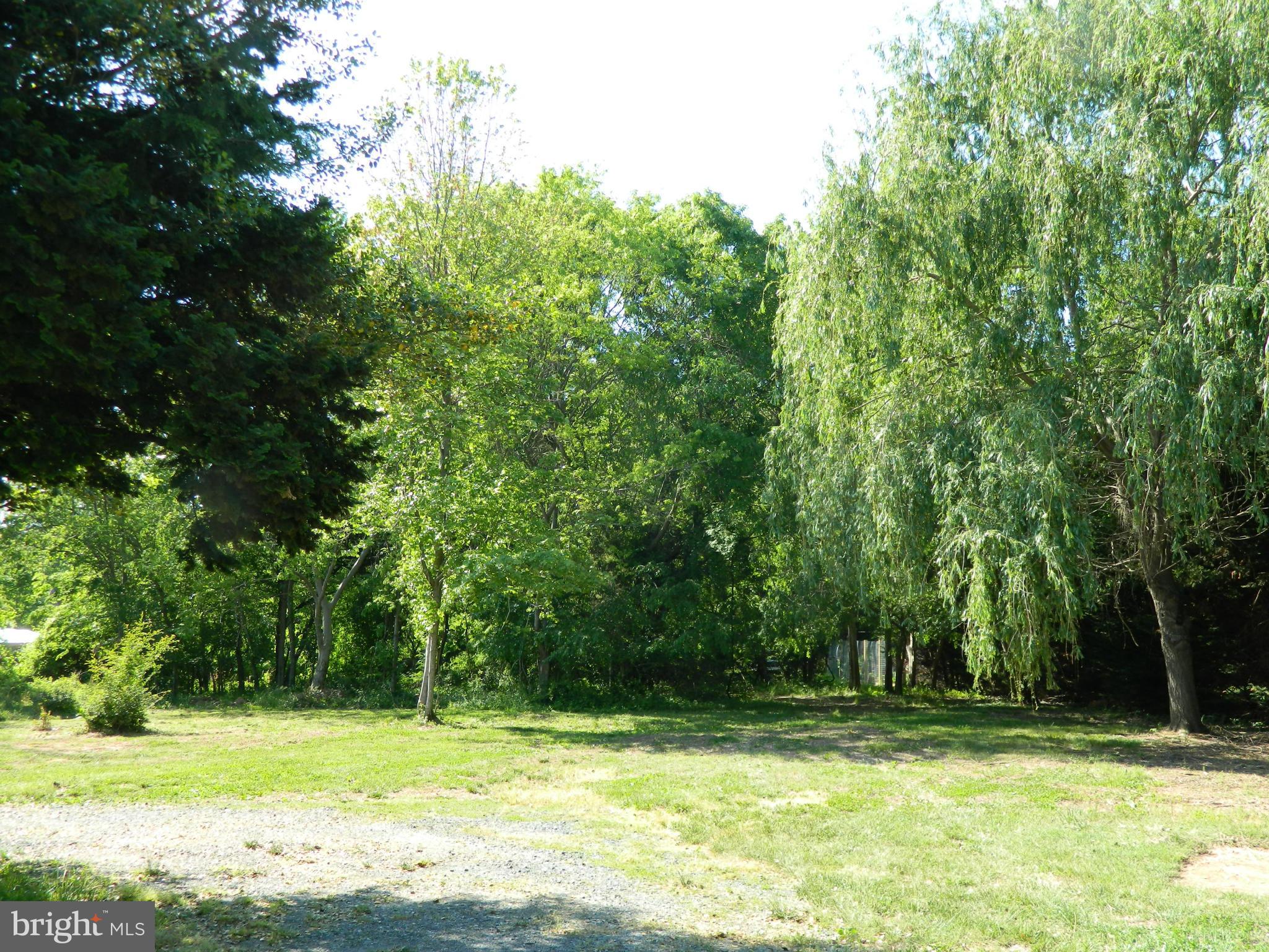 1568 St Margarets Road Annapolis, MD 21409 - Photo 24 of 28 Lovely Back Yard with Mature Trees