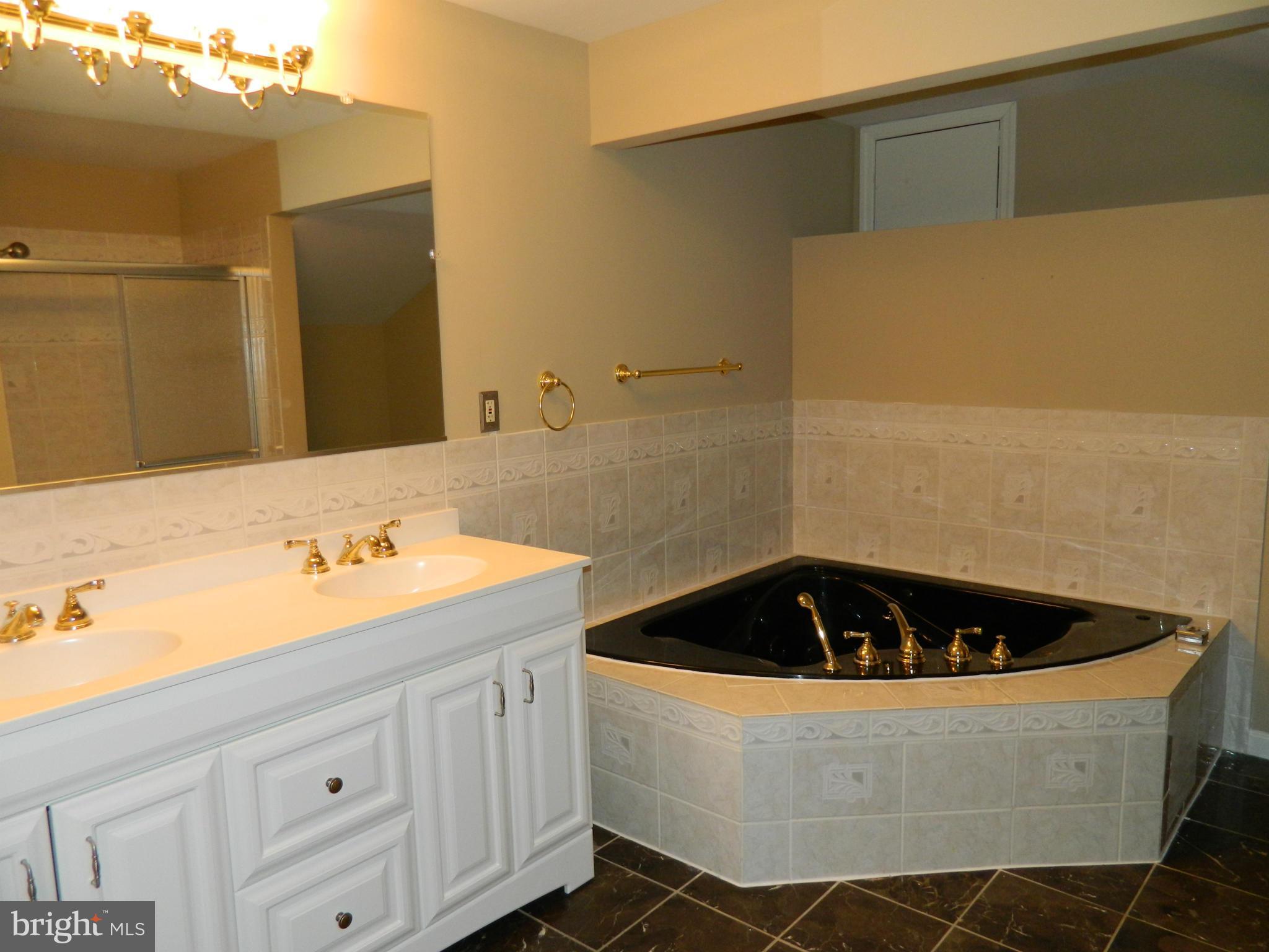 1568 St Margarets Road Annapolis, MD 21409 - Photo 10 of 28 Master Bath with Jetted 2 Tub and Double Vanity