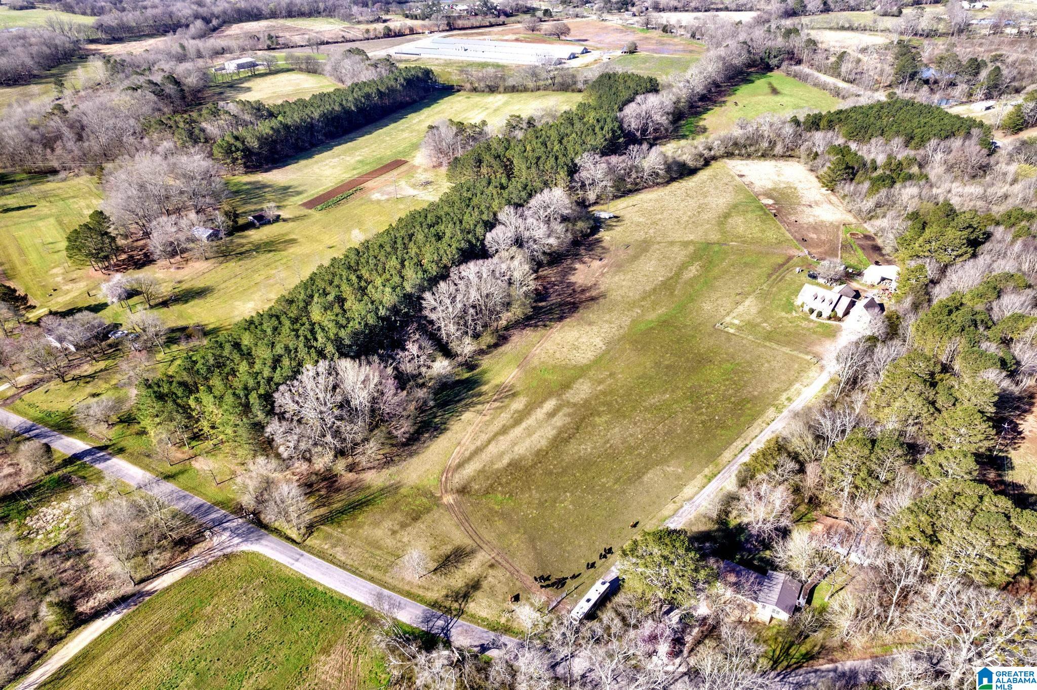 5353 Old Scott Road Blountsville, AL 35031 - Photo 31 of 41