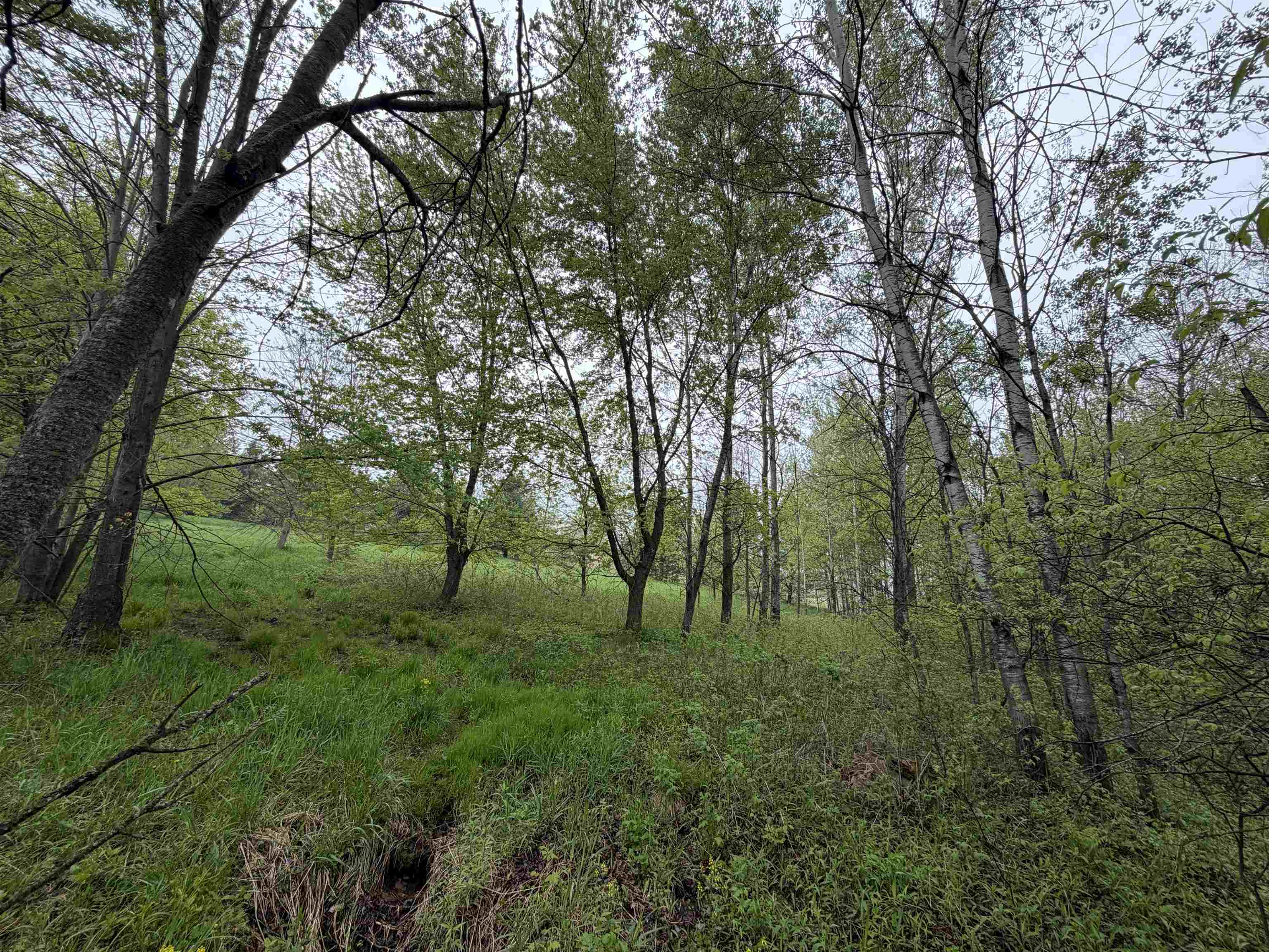 5755 350th Street Stanley, WI 54768 - Photo 9 of 16