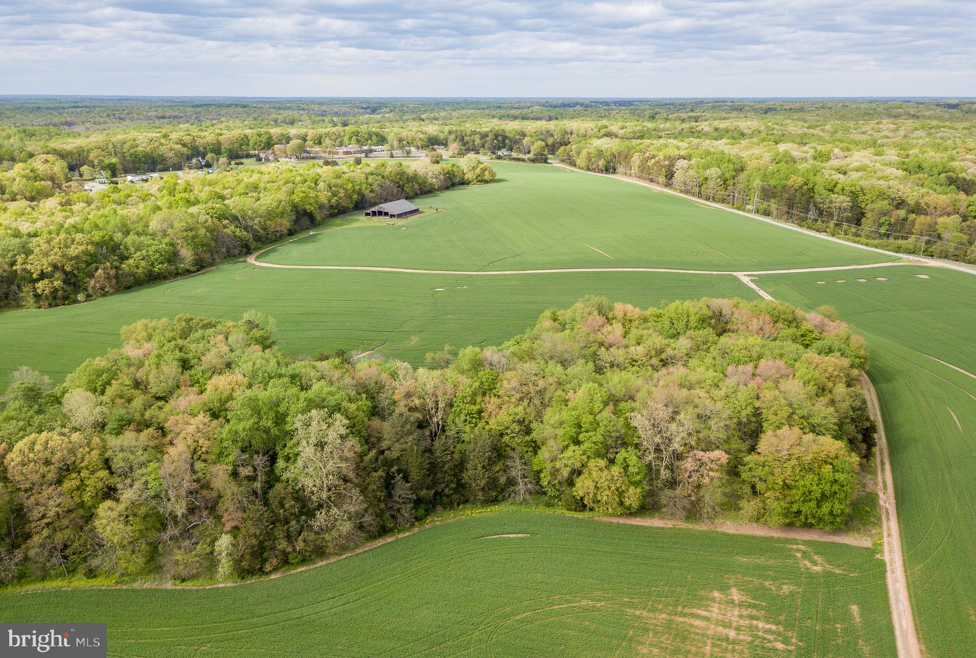 Cardwell Road Crozier, VA 23039 - Photo 13 of 40