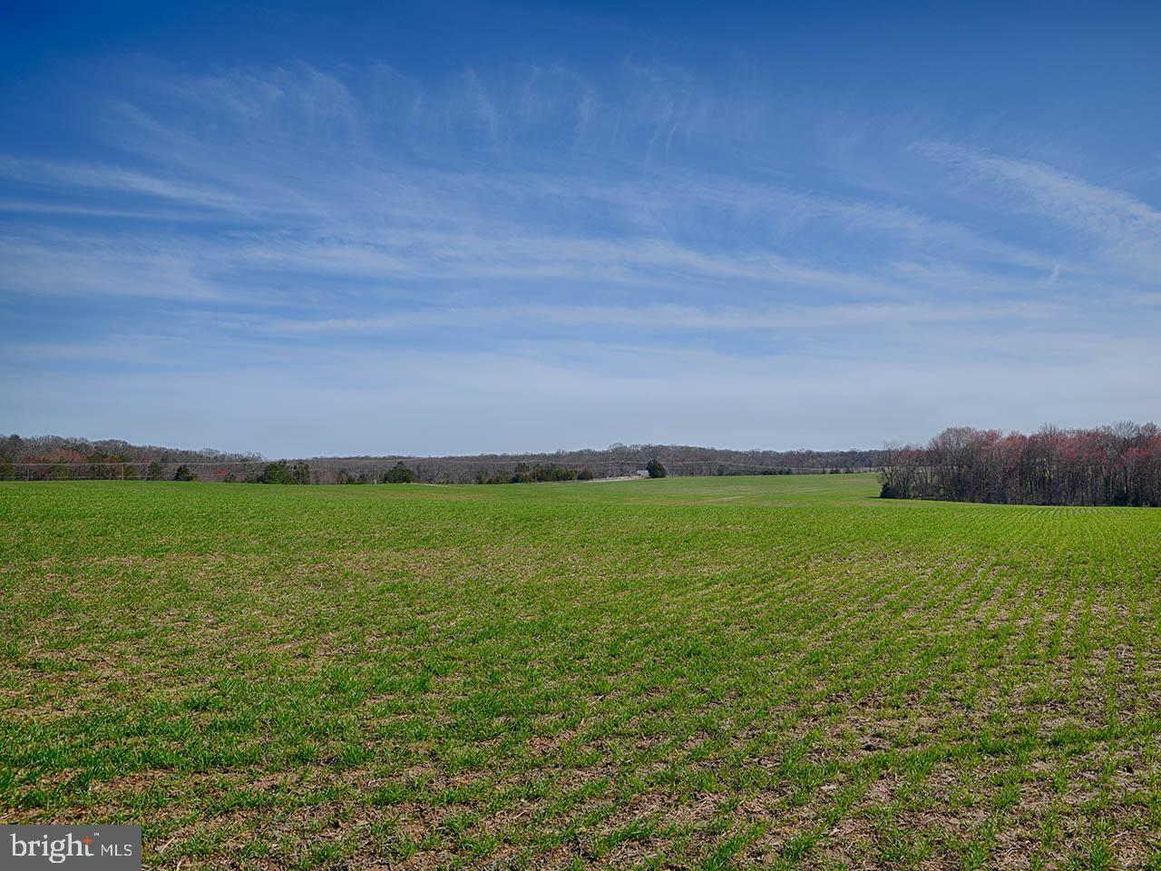 Cardwell Road Crozier, VA 23039 - Photo 19 of 40