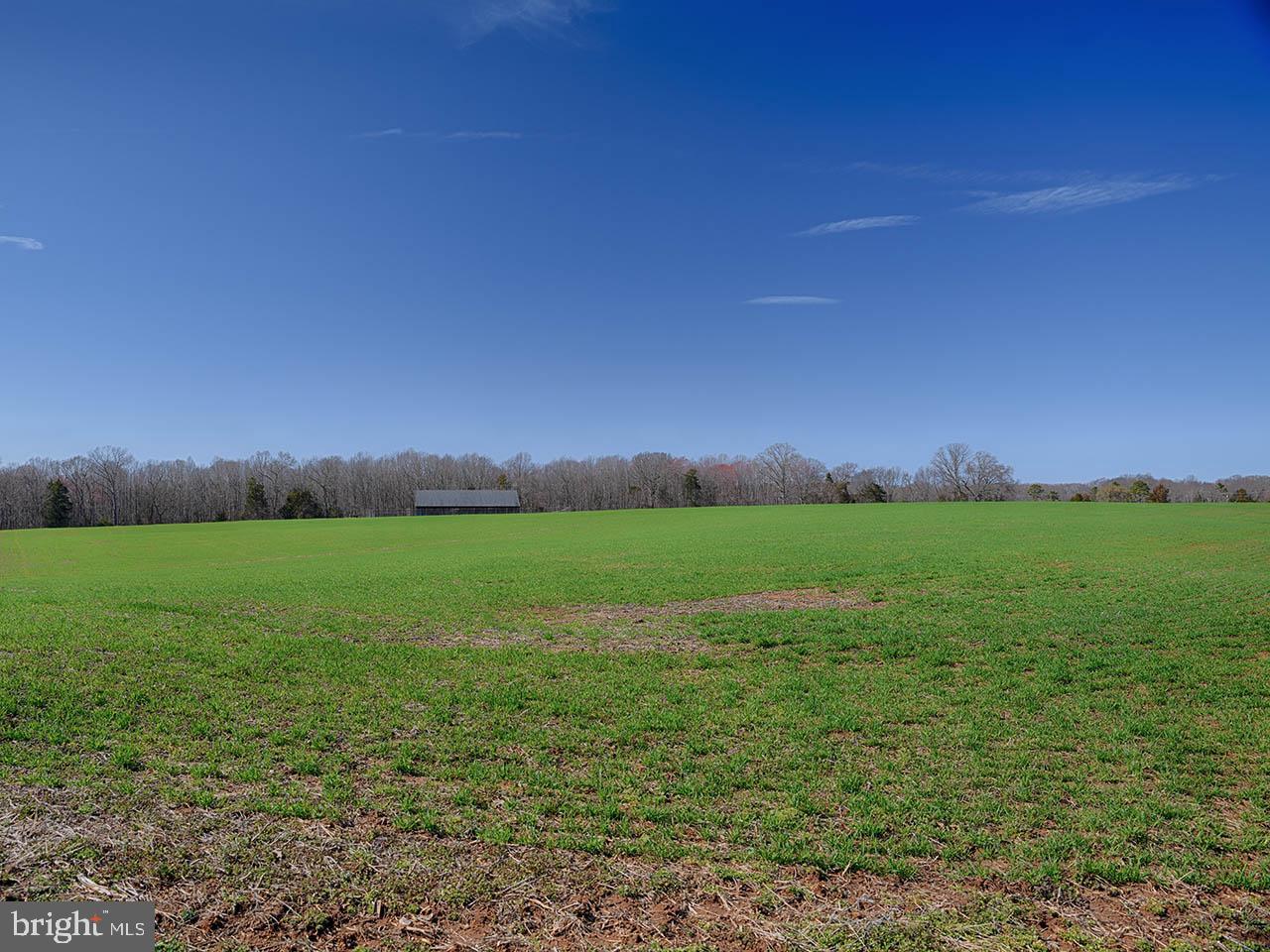 Cardwell Road Crozier, VA 23039 - Photo 23 of 40