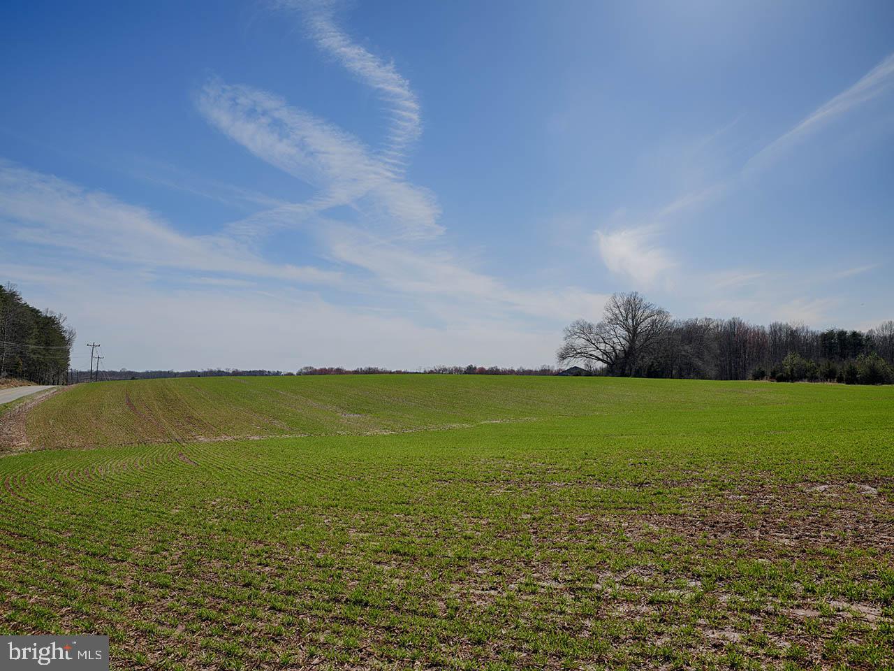 Cardwell Road Crozier, VA 23039 - Photo 24 of 40