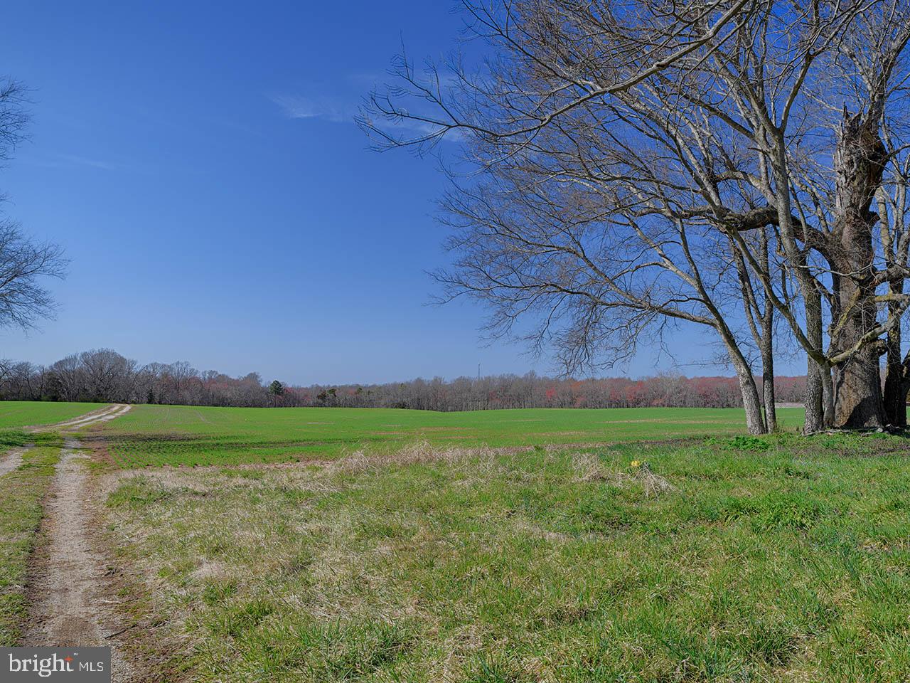 Cardwell Road Crozier, VA 23039 - Photo 25 of 40