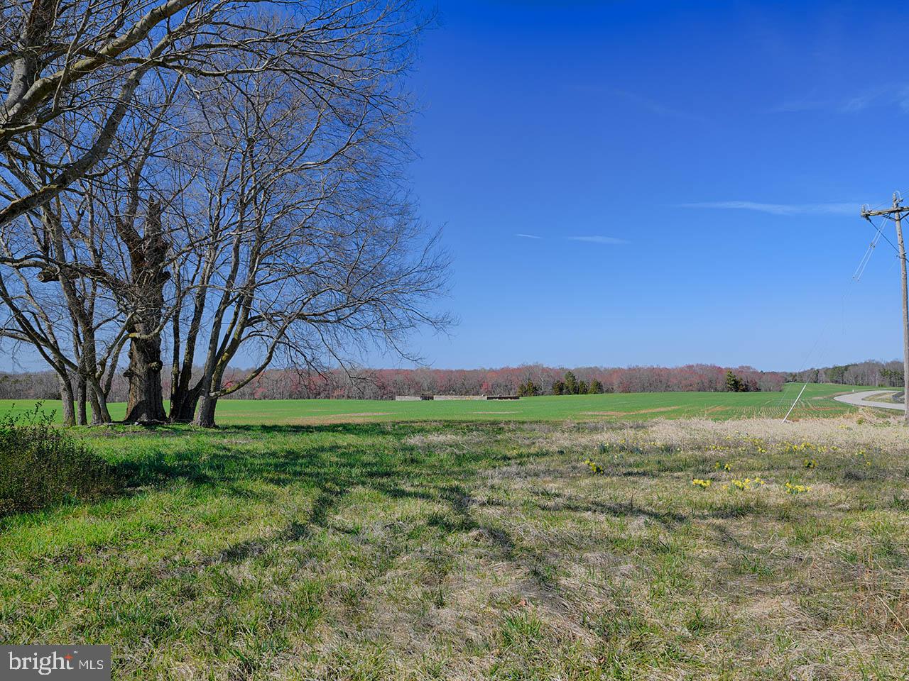 Cardwell Road Crozier, VA 23039 - Photo 26 of 40