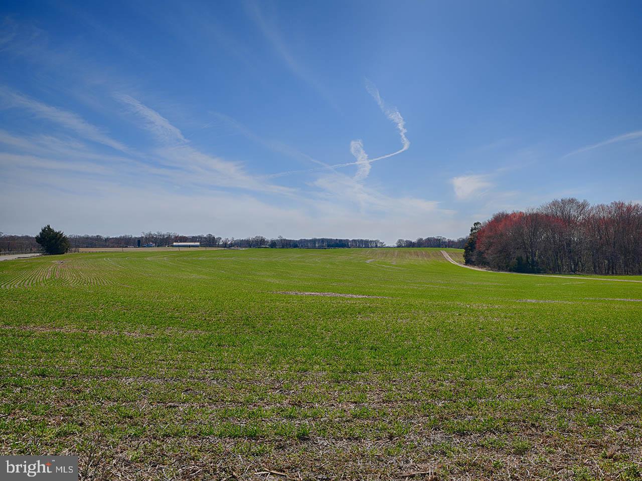 Cardwell Road Crozier, VA 23039 - Photo 28 of 40