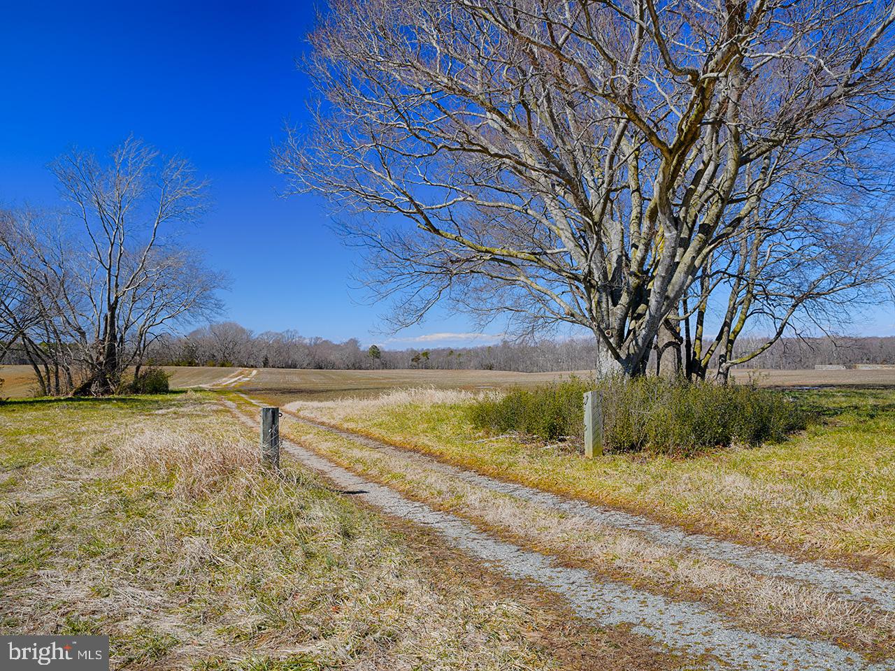 Cardwell Road Crozier, VA 23039 - Photo 29 of 40