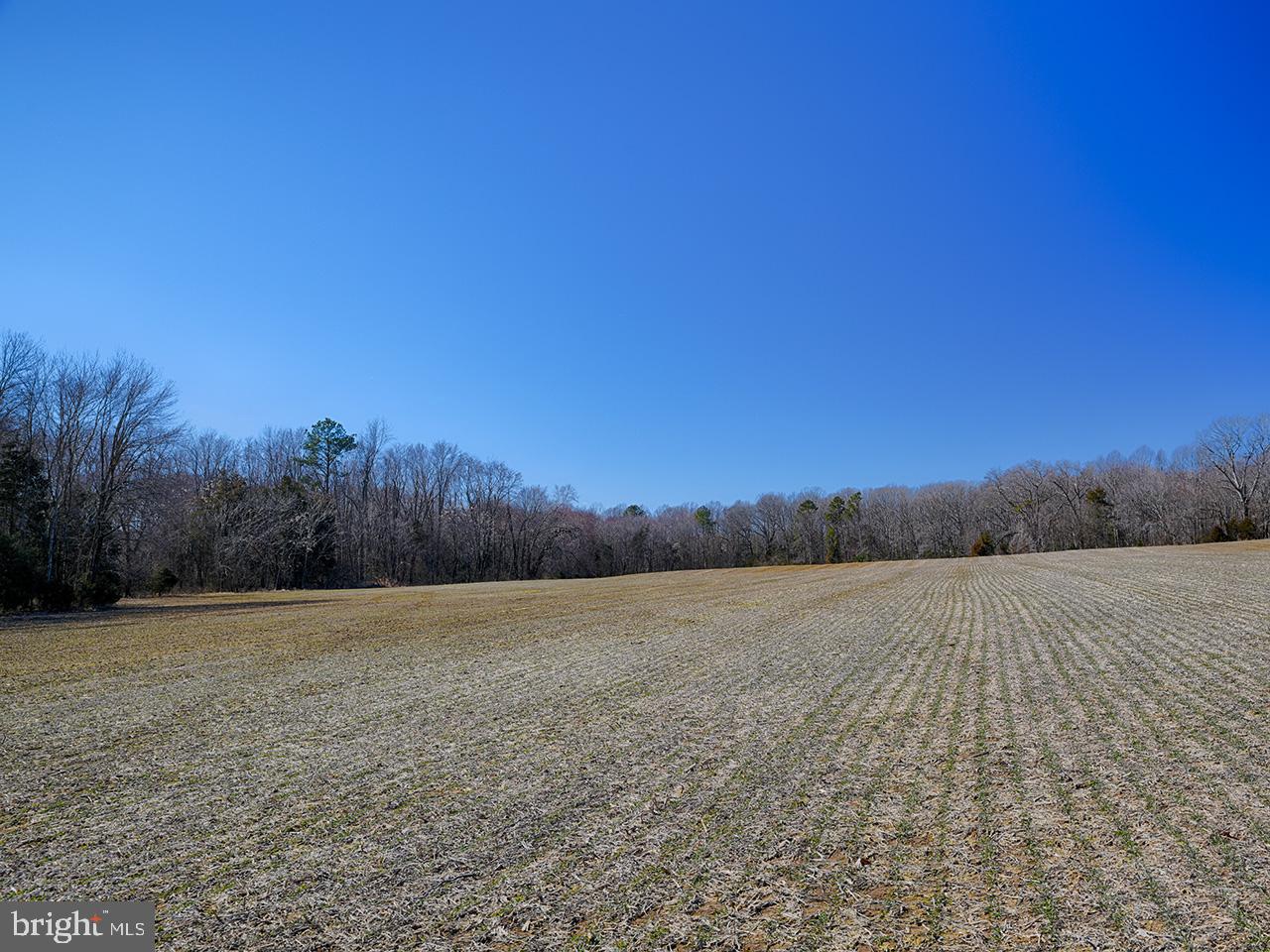 Cardwell Road Crozier, VA 23039 - Photo 34 of 40