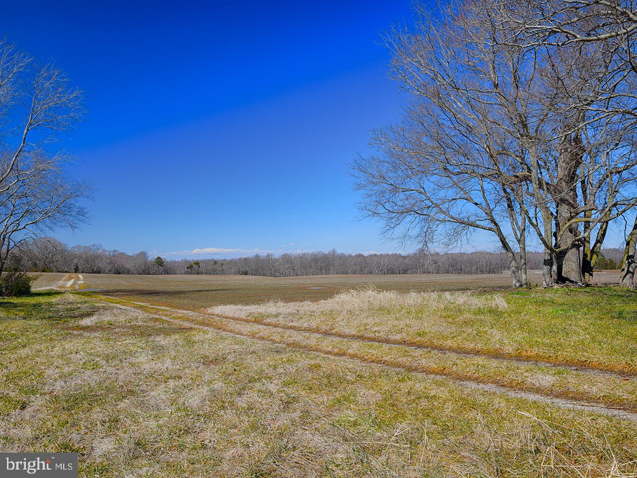 Cardwell Road Crozier, VA 23039 - Photo 37 of 40