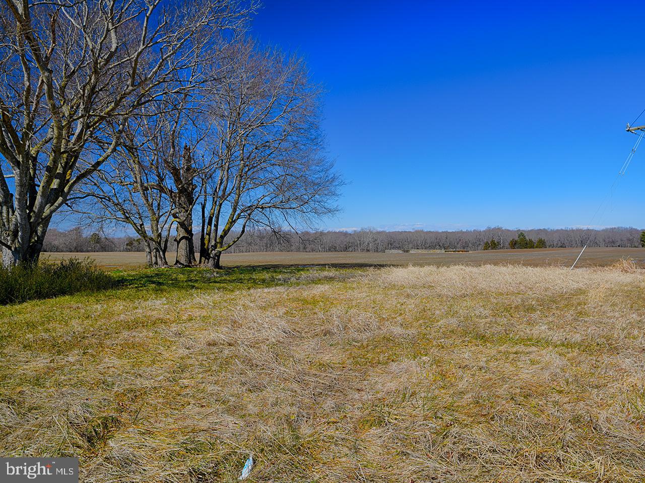 Cardwell Road Crozier, VA 23039 - Photo 38 of 40