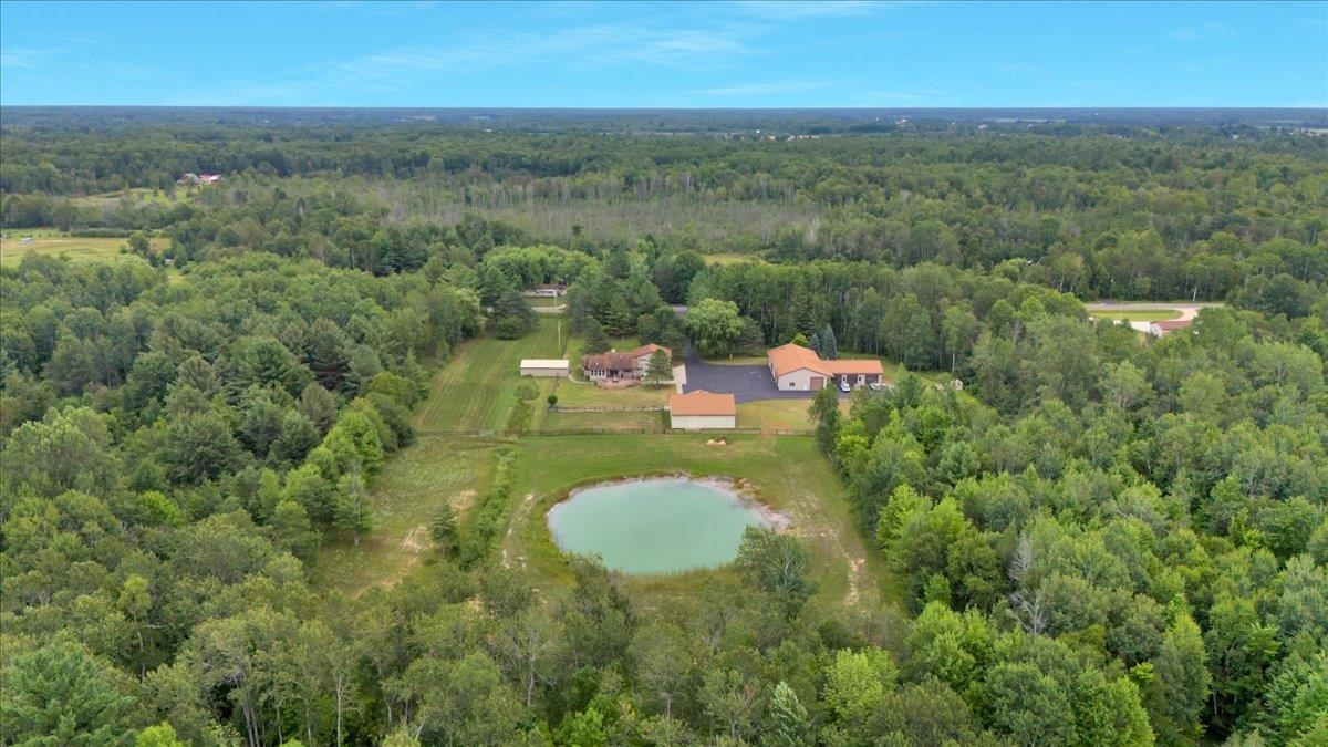 1369 East County Line Road Hale, MI 48739 - Photo 10 of 92