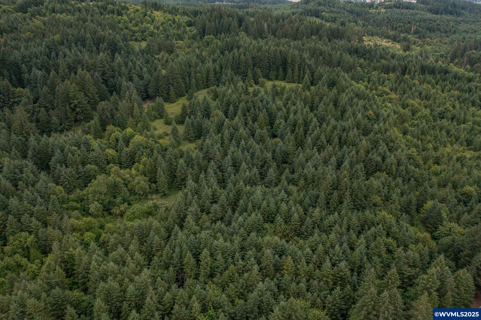Mctimmonds Road Dallas, OR 97338 - Photo 8 of 20