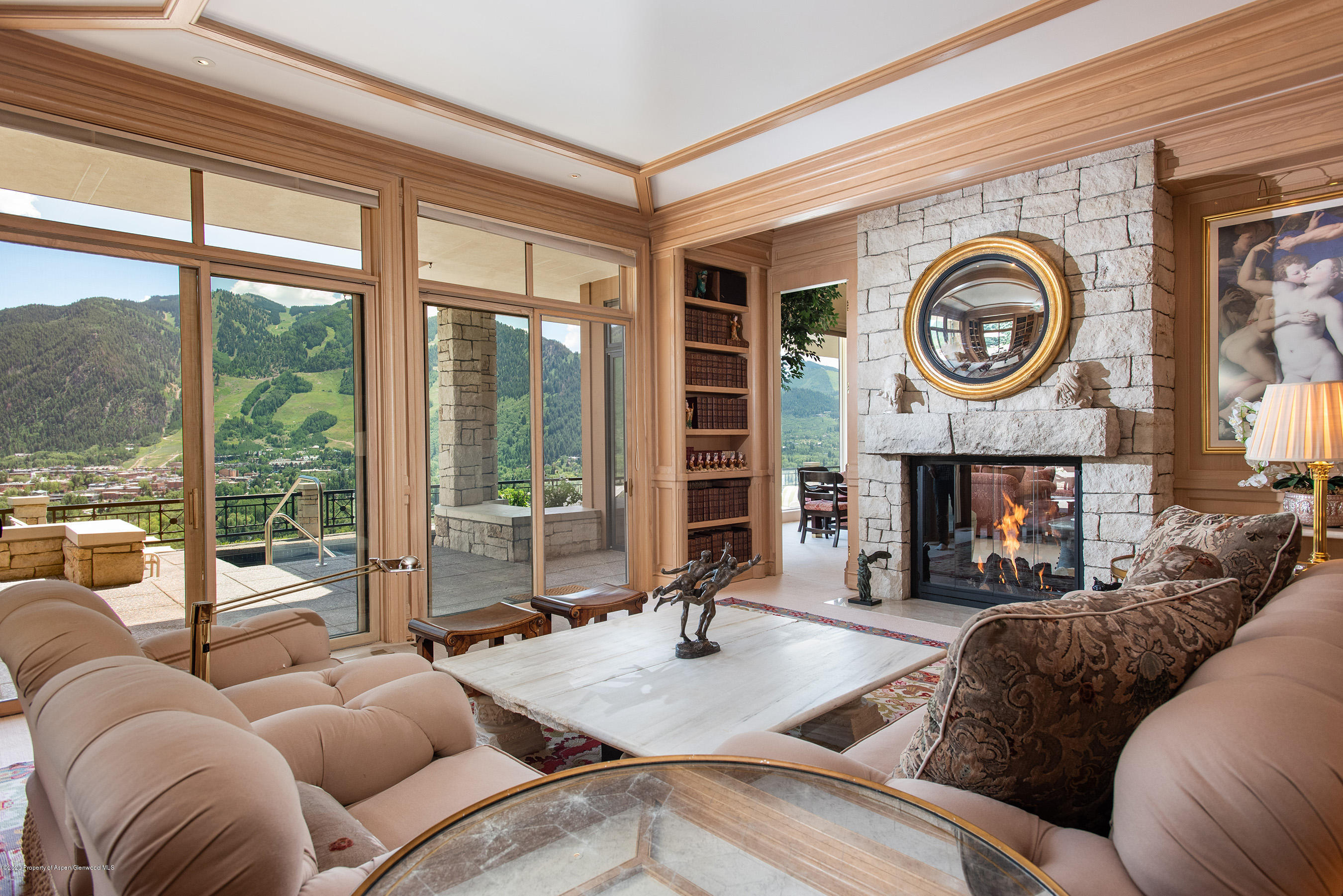 349 Ridge Road Aspen, CO 81612 - Photo 15 of 58 Library