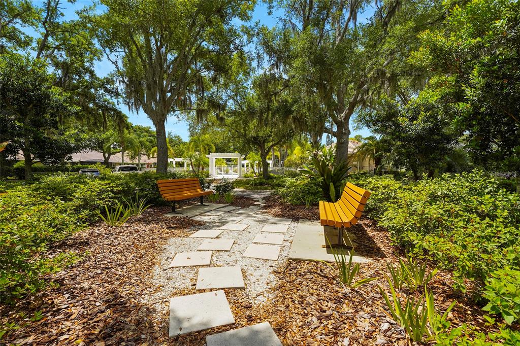 7822 Troon Court Lakewood Ranch, FL 34202 - Photo 72 of 83 a view of a yard with plants and large trees