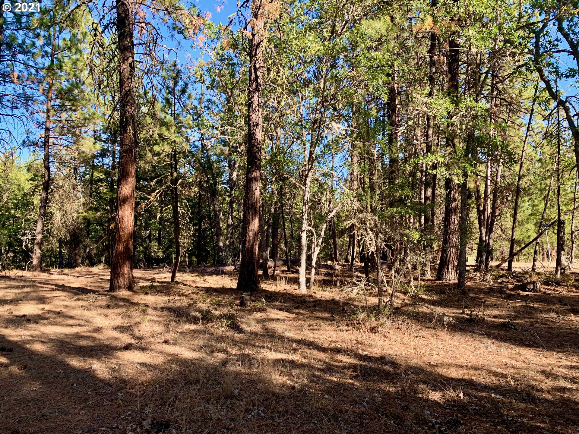 Wilderness Loop, Unit LOT77 Goldendale, WA 98620 - Photo 11 of 18