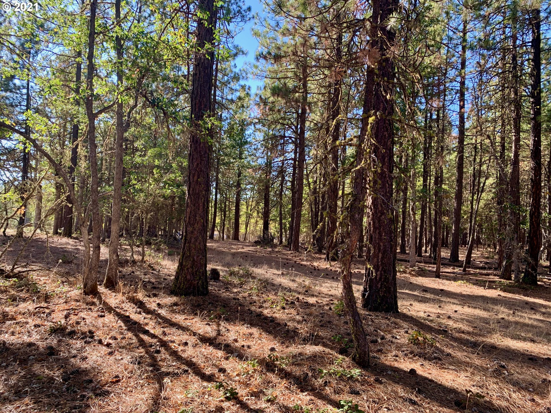 Wilderness Loop, Unit LOT77 Goldendale, WA 98620 - Photo 12 of 18