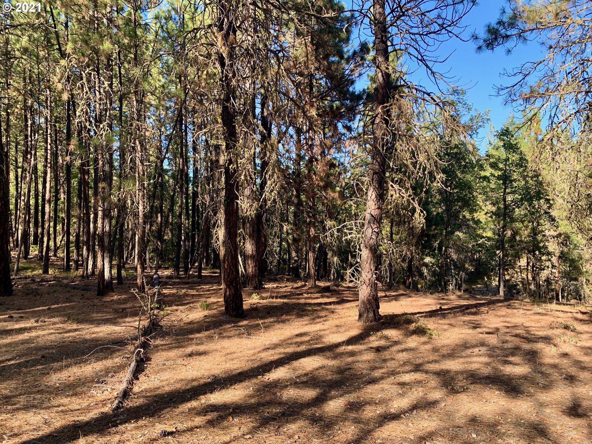 Wilderness Loop, Unit LOT77 Goldendale, WA 98620 - Photo 13 of 18