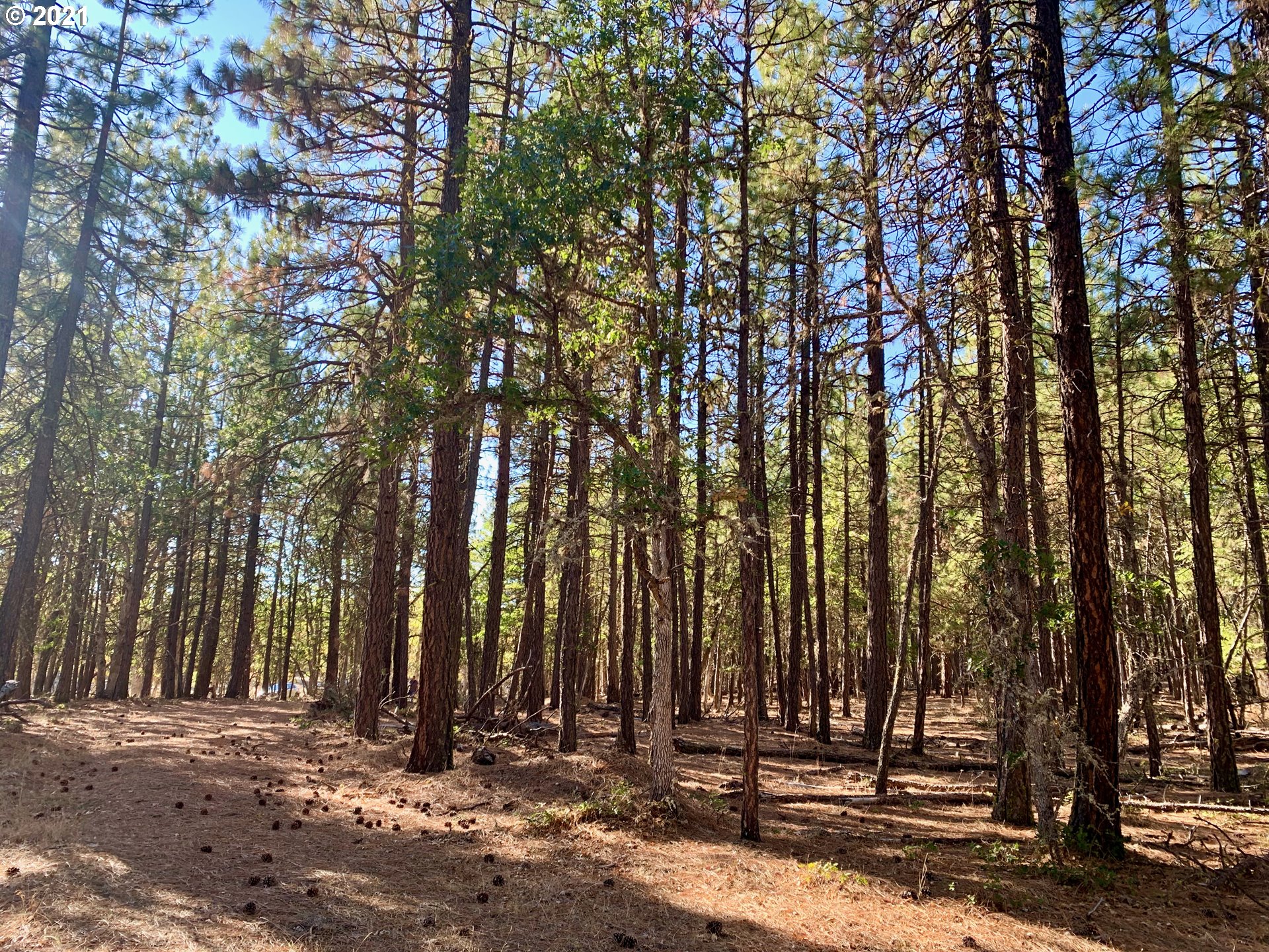 Wilderness Loop, Unit LOT77 Goldendale, WA 98620 - Photo 14 of 18