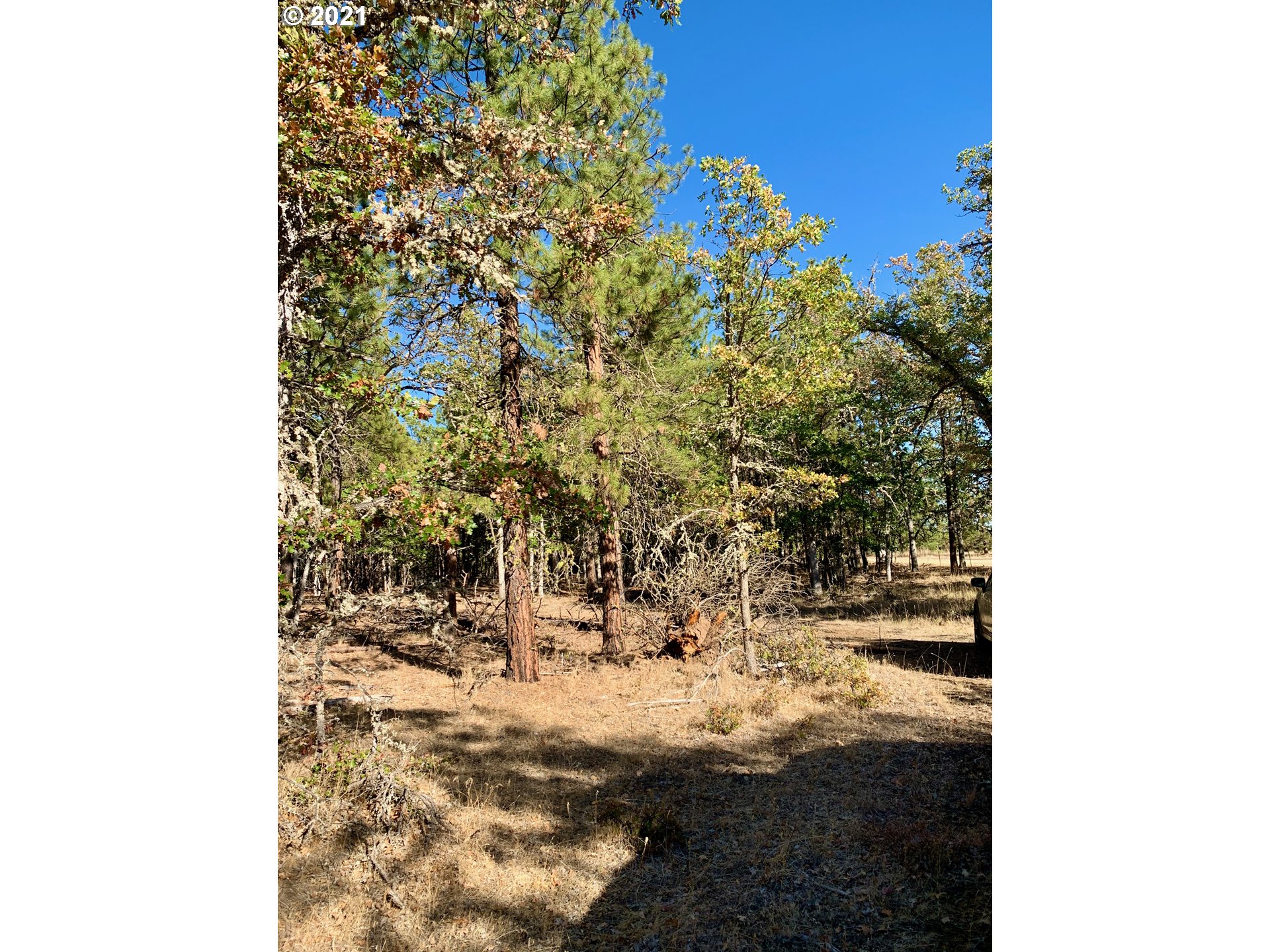 Wilderness Loop, Unit LOT77 Goldendale, WA 98620 - Photo 15 of 18