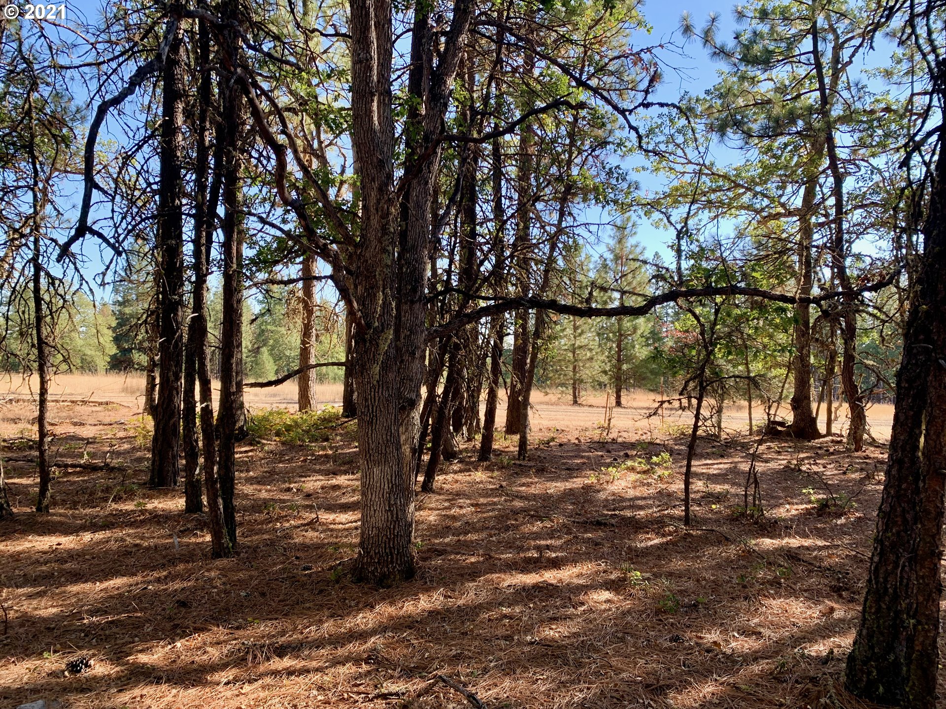 Wilderness Loop, Unit LOT77 Goldendale, WA 98620 - Photo 17 of 18