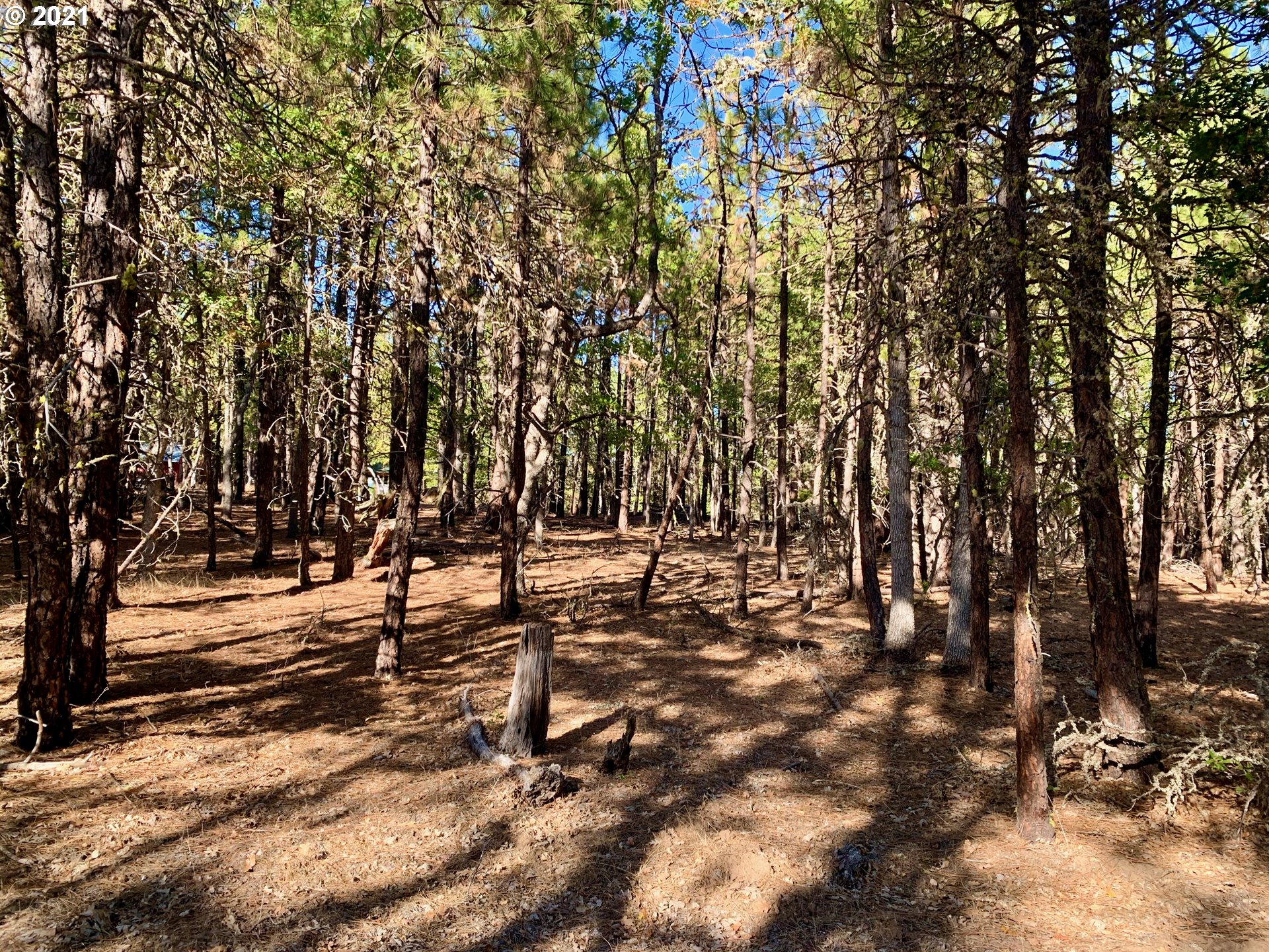 Wilderness Loop, Unit LOT77 Goldendale, WA 98620 - Photo 18 of 18