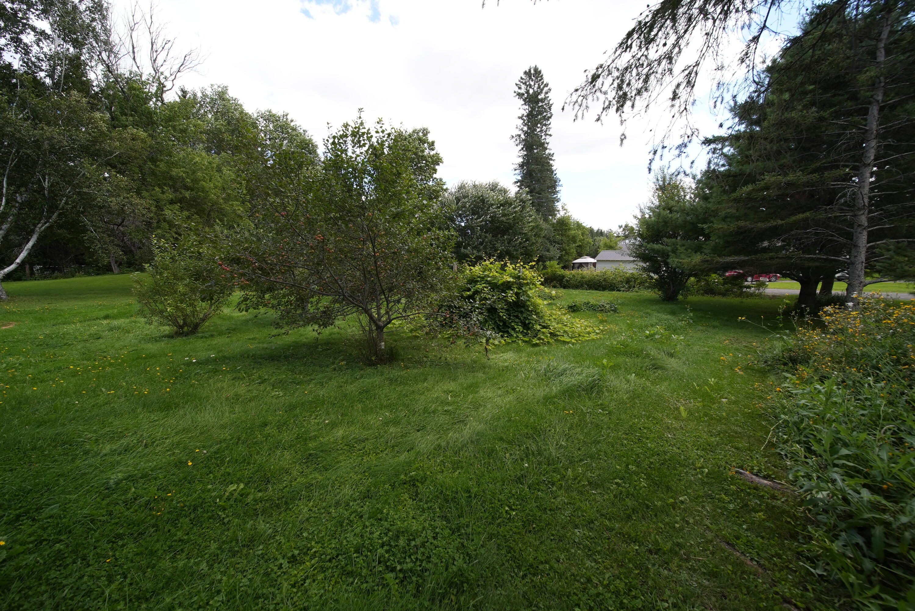 6 Cleveland Street Houlton, ME 04730 - Photo 19 of 63 DSC01205