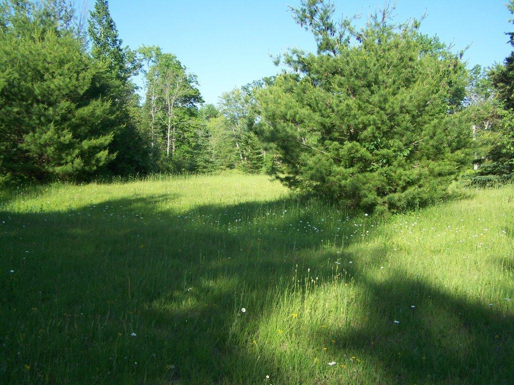 8545 Long Rapids Road Alpena, MI 49707 - Photo 11 of 27 Gallery Image 11