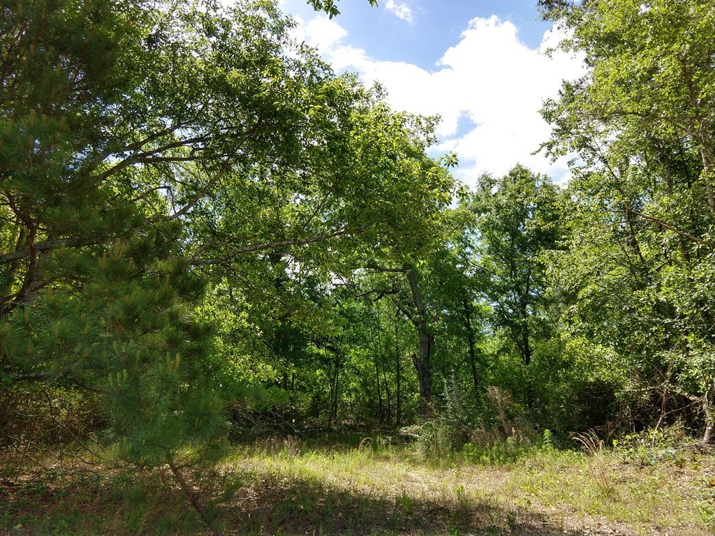 1144 Bacon Road Aiken, SC 29805 - Photo 25 of 35