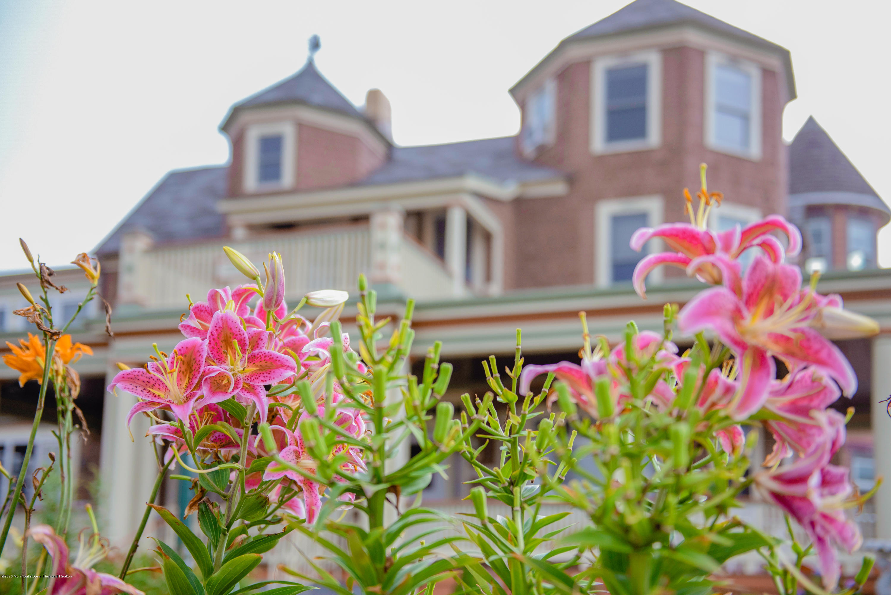 19 Ocean Avenue Ocean Grove, NJ 07756 - Photo 52 of 80 Beautiful Blooms