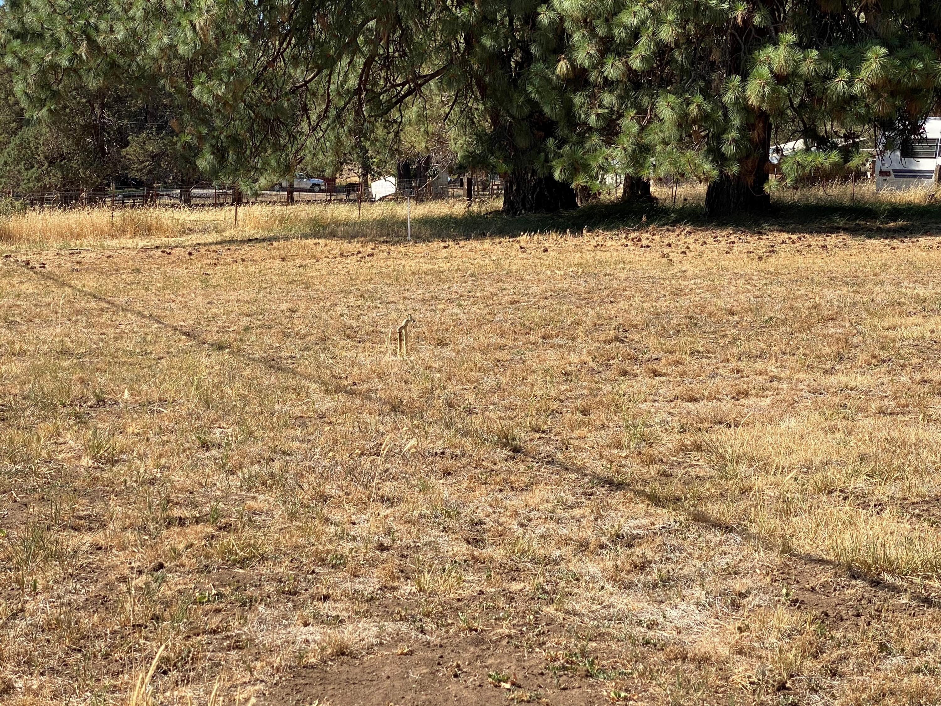 9611 Ben Kerns Road Klamath Falls, OR 97601 - Photo 5 of 9 Yard2