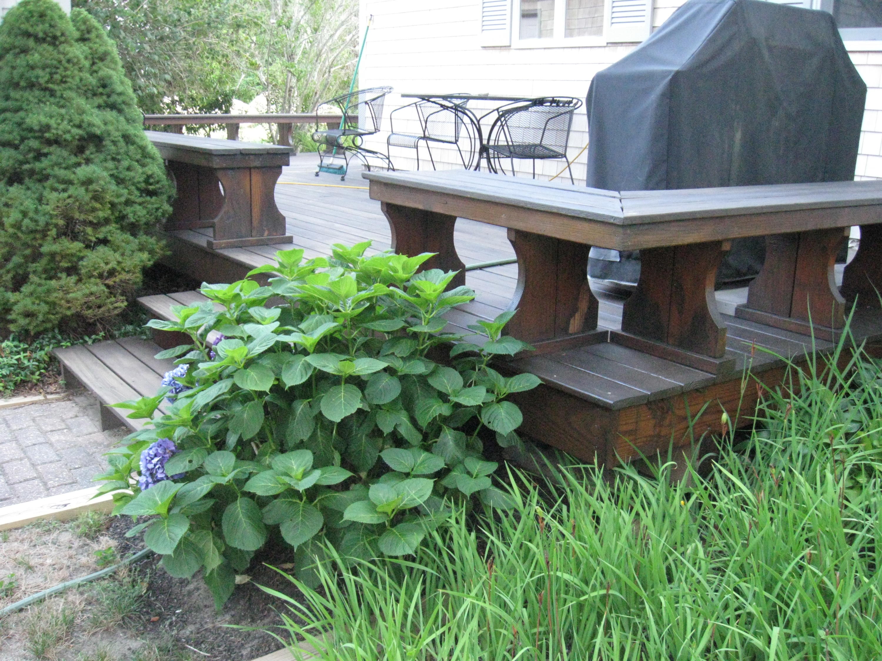 331 Shore Road Monument Beach, MA 02532 - Photo 7 of 11 a view of a backyard with plants