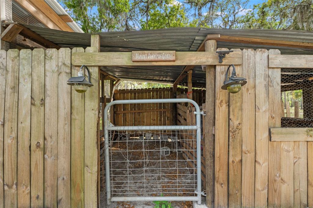 4508 Spring Road Valrico, FL 33596 - Photo 50 of 53