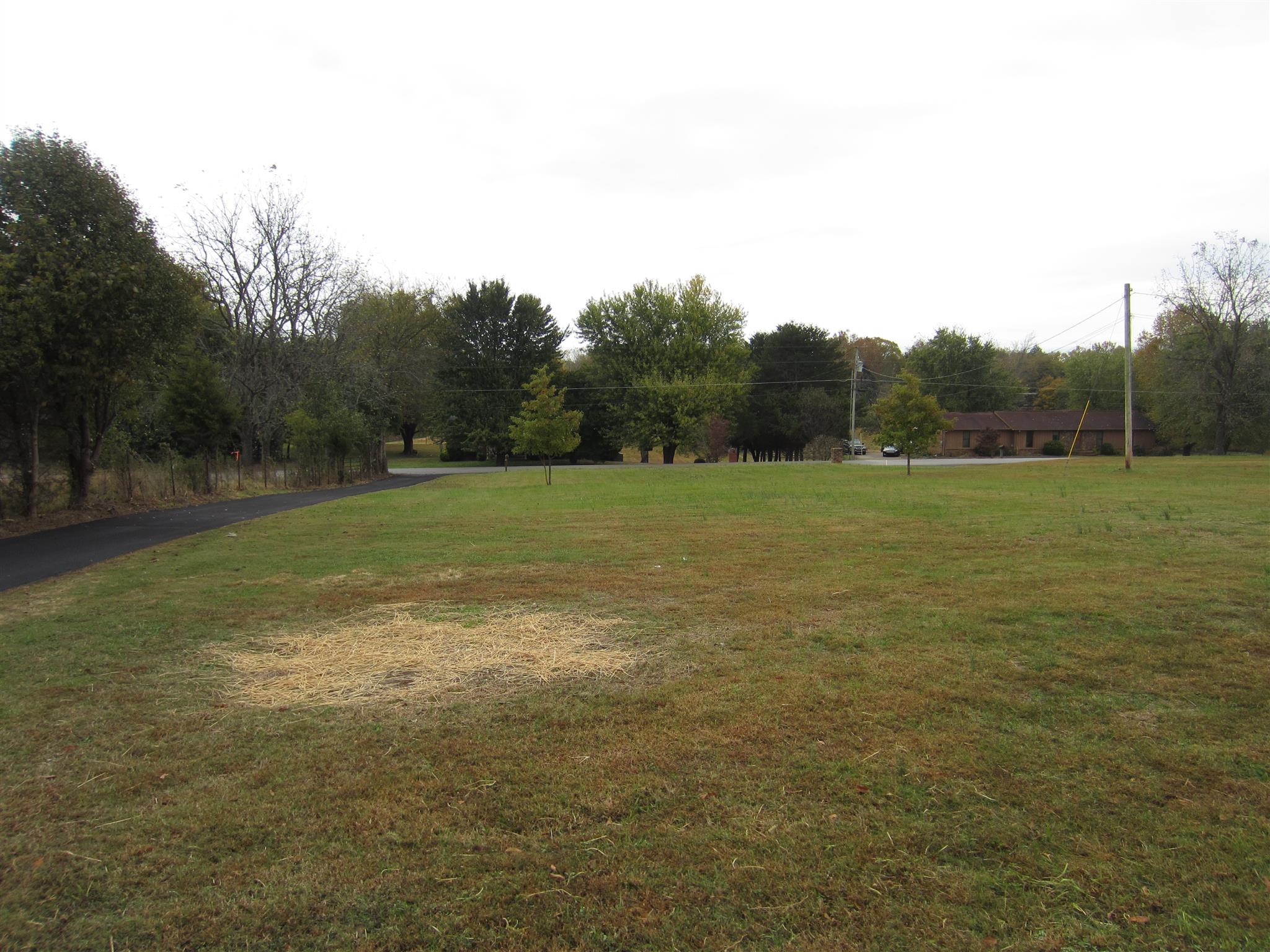 206 Bettis Road Lebanon, TN 37090 - Photo 4 of 21 a view of a field with an trees