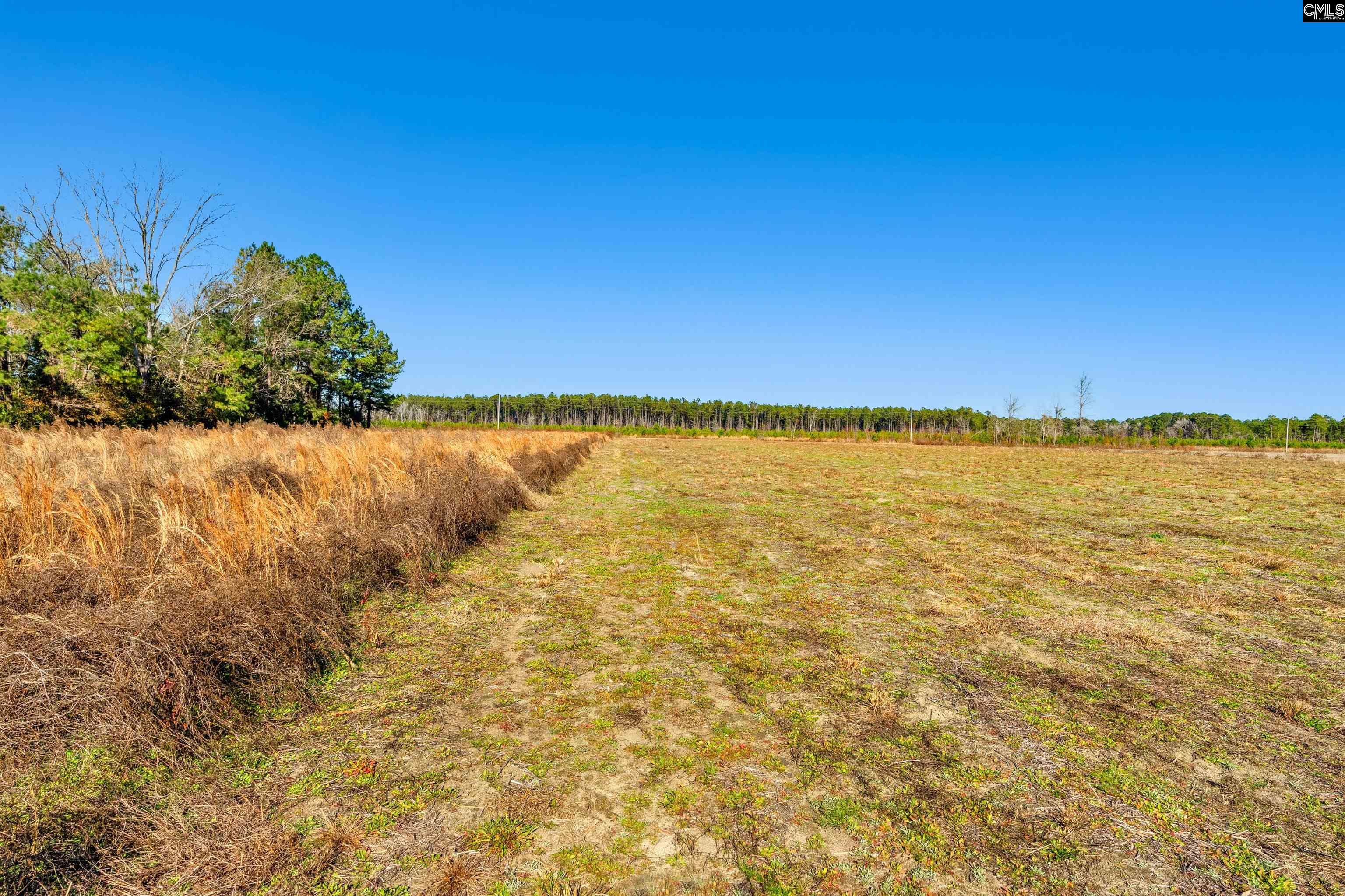 1745 Williams Hill Road Hemingway, SC 29554 - Photo 19 of 25