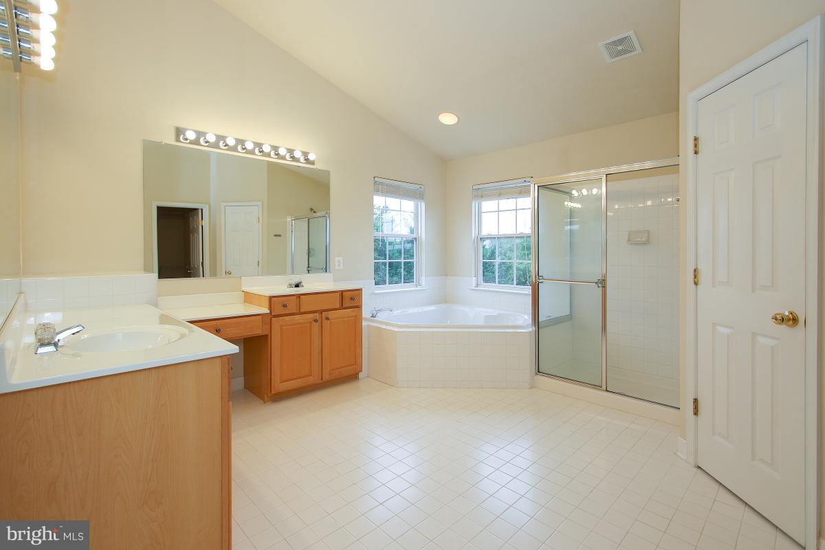 25824 Spring Farm Circle Chantilly, VA 20152 - Photo 17 of 30 Master bathroom