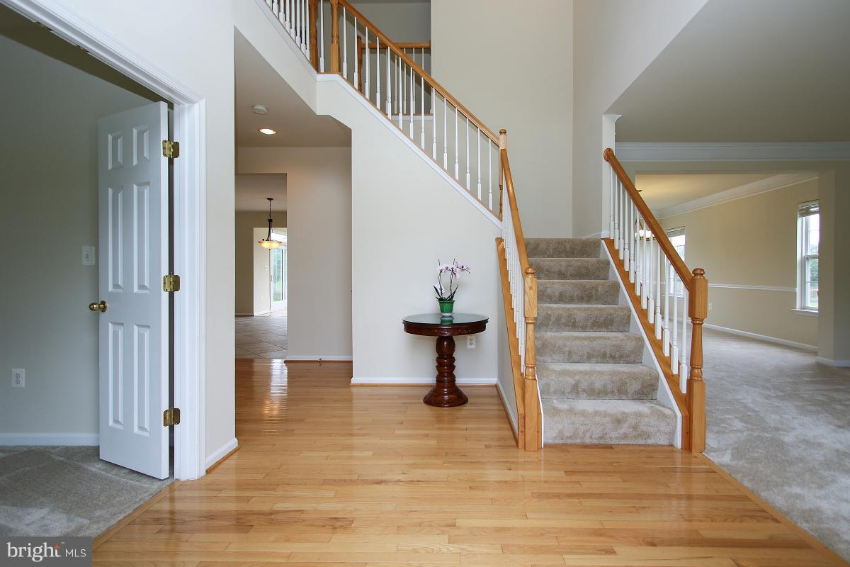 25824 Spring Farm Circle Chantilly, VA 20152 - Photo 3 of 30 front entranceway