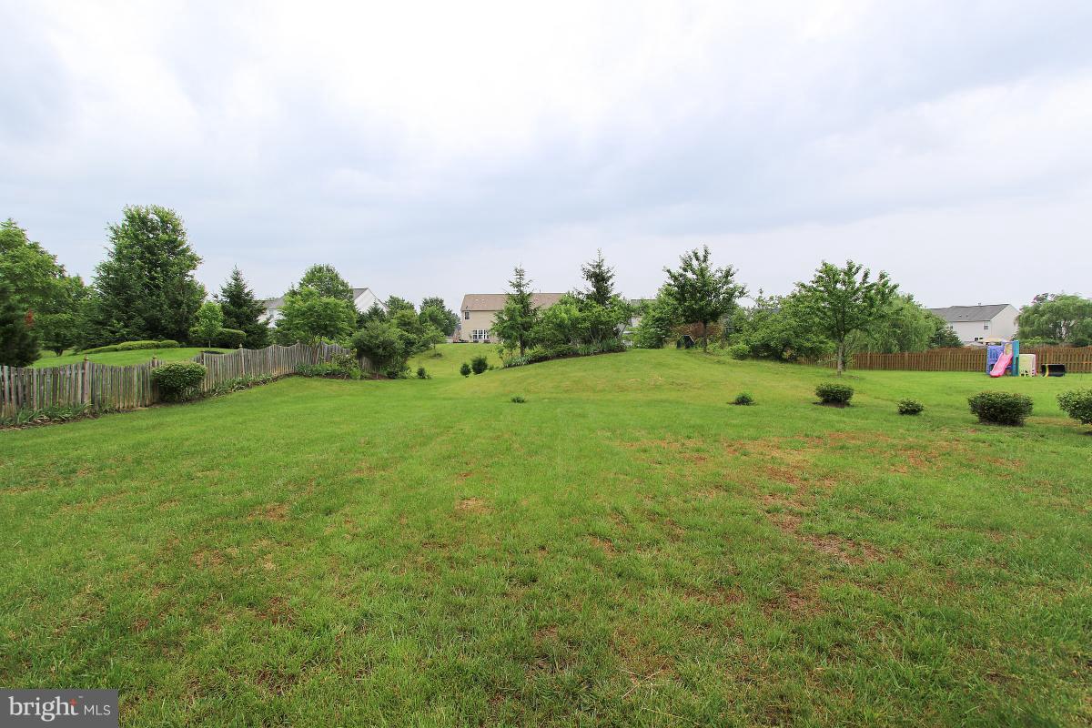 25824 Spring Farm Circle Chantilly, VA 20152 - Photo 29 of 30 Backyard