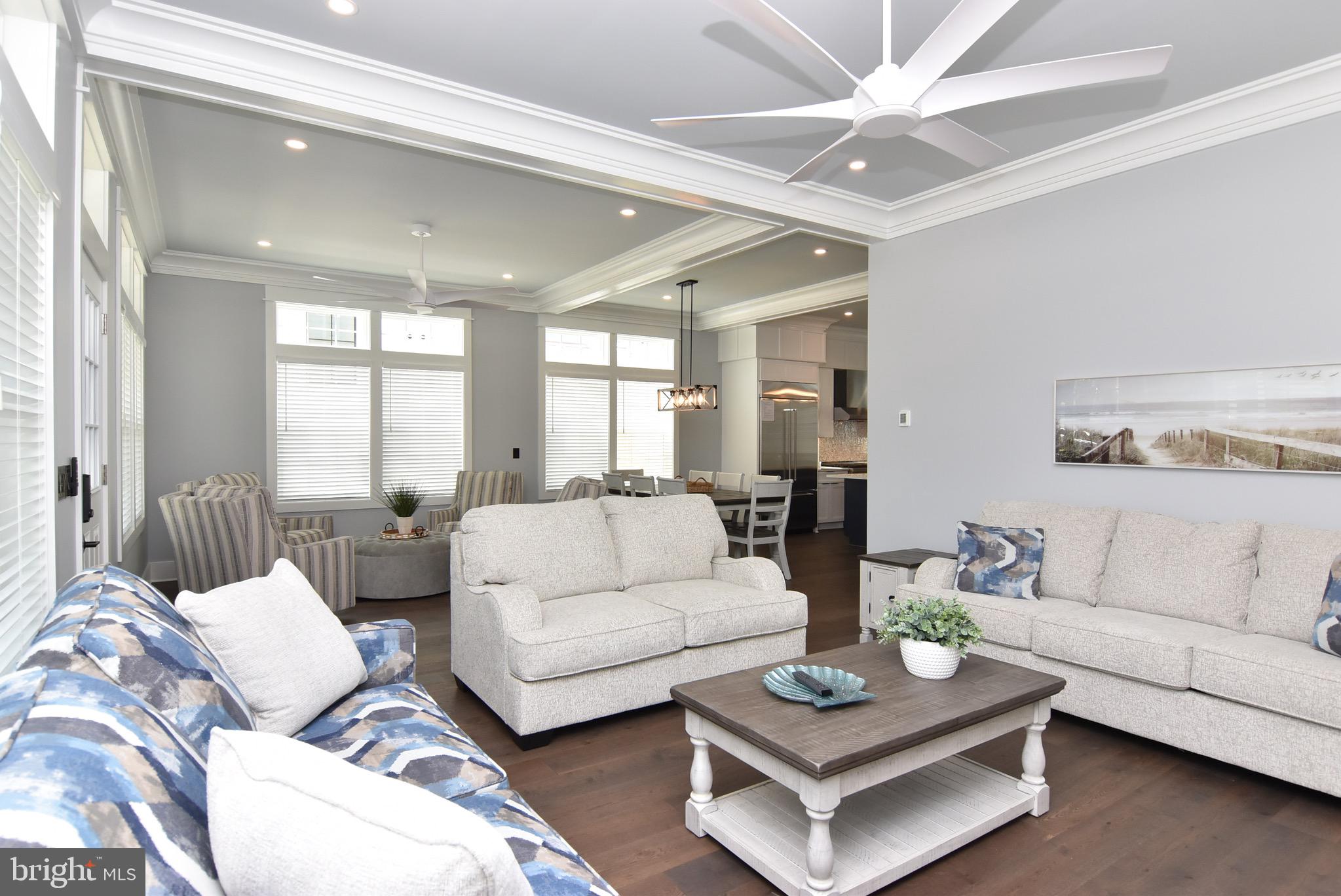 3 Laurel Street Rehoboth Beach, DE 19971 - Photo 6 of 47 a living room with furniture or couches and a potted plant