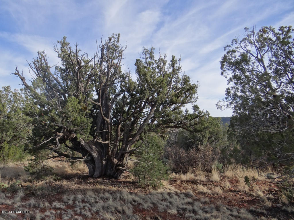 58 Shadow Rock Ranch Seligman, AZ 86337 - Photo 1 of 13 DSC03121