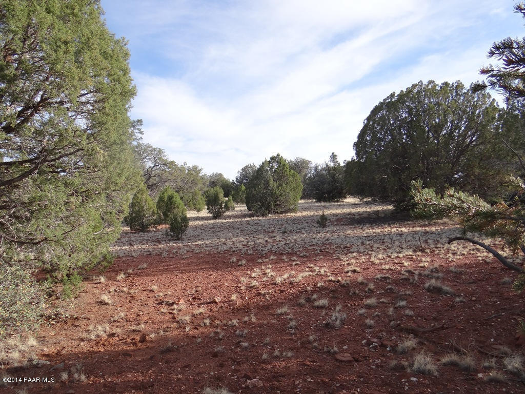 58 Shadow Rock Ranch Seligman, AZ 86337 - Photo 2 of 13 DSC03114