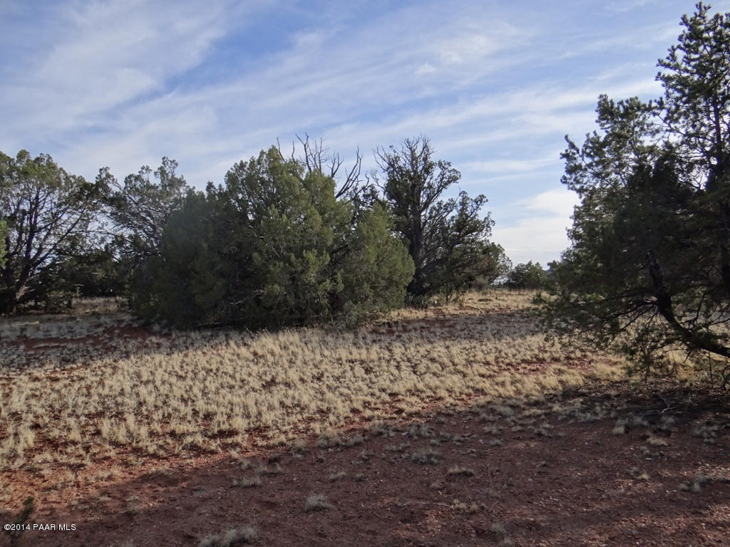 58 Shadow Rock Ranch Seligman, AZ 86337 - Photo 3 of 13 DSC03115