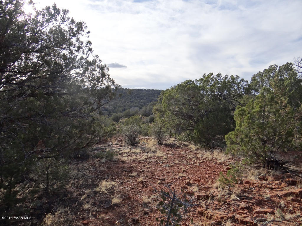 58 Shadow Rock Ranch Seligman, AZ 86337 - Photo 4 of 13 DSC03116