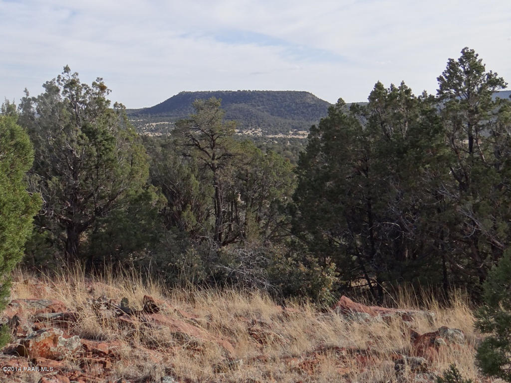58 Shadow Rock Ranch Seligman, AZ 86337 - Photo 6 of 13 DSC03119