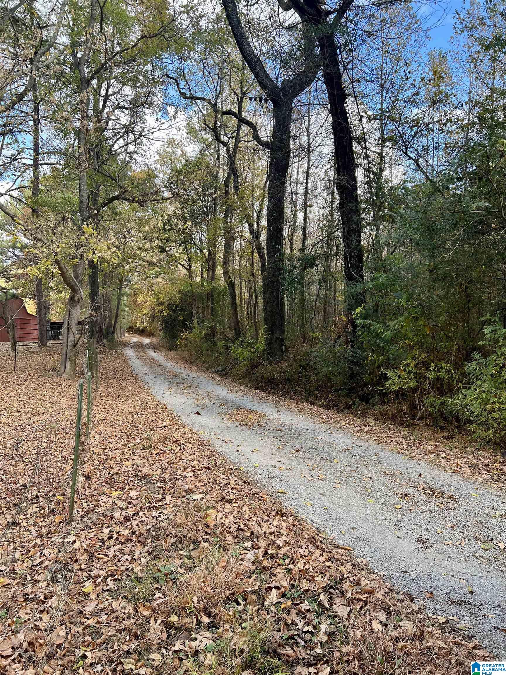 8455 Clayton Road Trussville, AL 35173 - Photo 38 of 65
