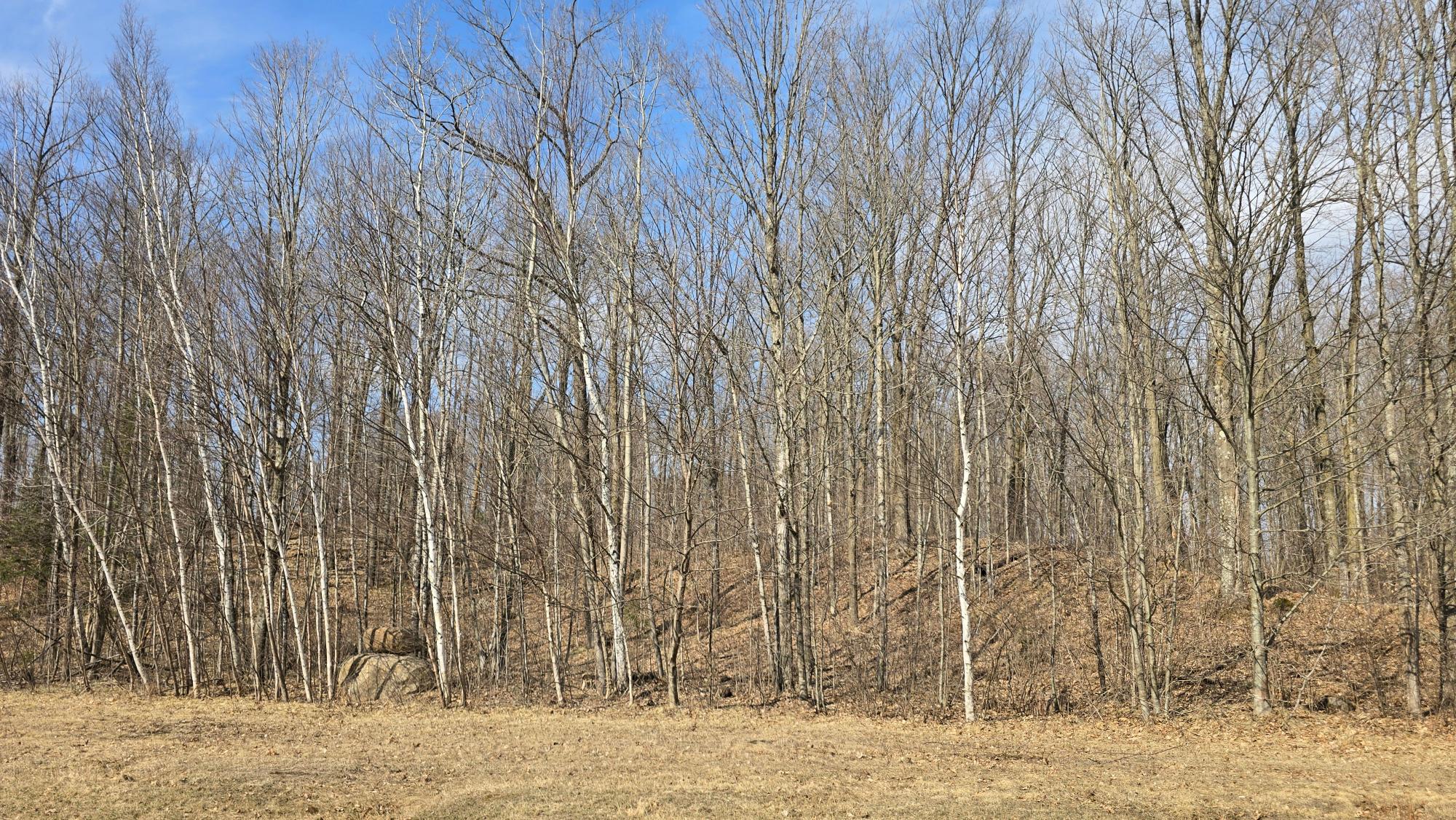 W6280 Sherry Road Bryant, WI 54418 - Photo 44 of 73 Gallery Image 44