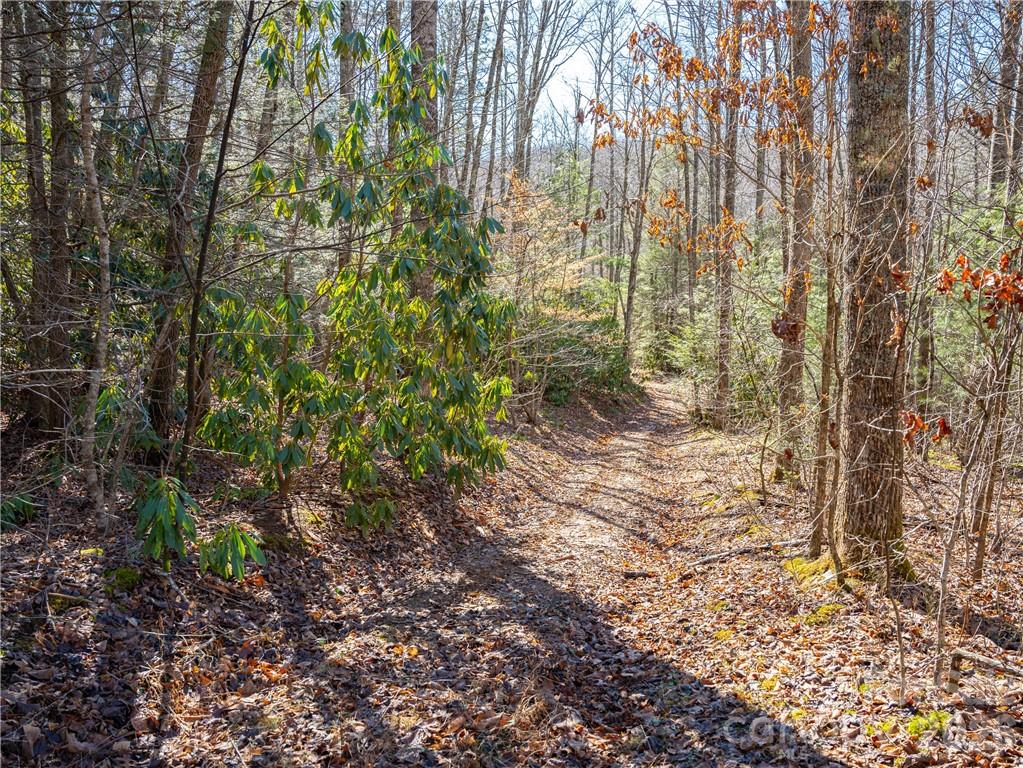 Tbd Long Branch Road Swannanoa, NC 28778 - Photo 12 of 18