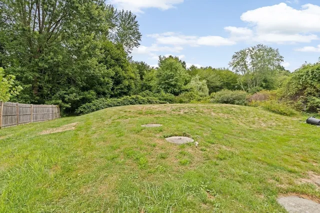 a view of a yard in front of house